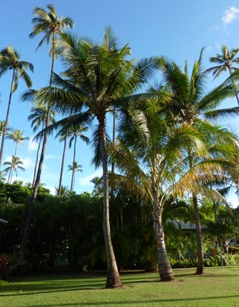 Waimea Plantation Cottages, Kauai 