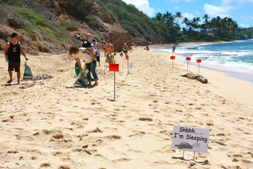 Beach Environmental Awareness Campaign Hawai`i